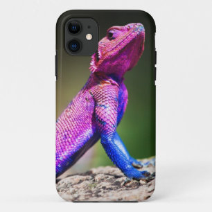 Etui iPhone Case-Mate L'agame à tête plate de Mwanza sur la roche