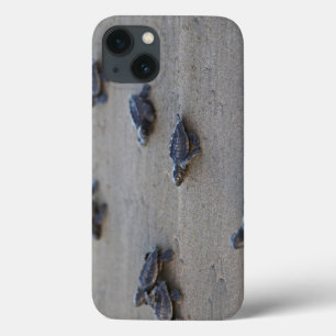 iPhone 13 Coque L'Amérique Centrale, Salvador, l'océan pacifique