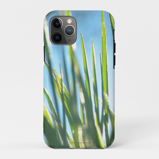 Coques Case-Mate iPhone Lames éclairées (Dos)