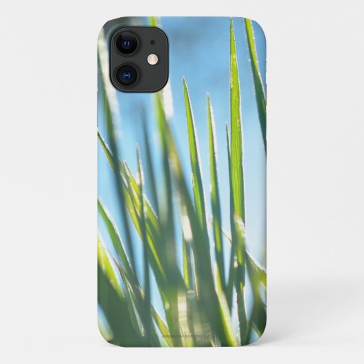 Coques Case-Mate iPhone Lames éclairées (Dos)