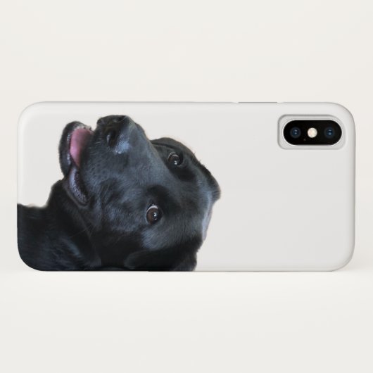 Coques Case-Mate iPhone L'Amour du Labrador (Dos (Horizontal))