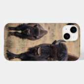 Coques Case-Mate iPhone "L'amour sauvage : le bison et son veau" (Verso (horizontal))