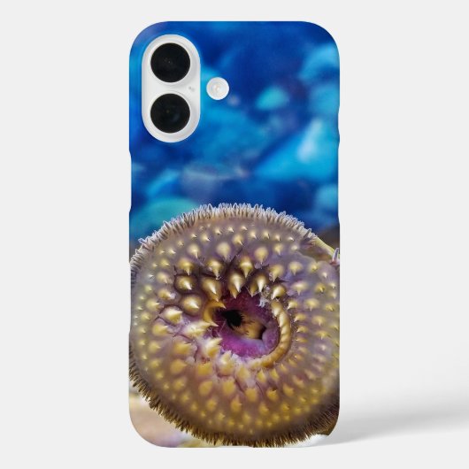 Coques Case-Mate iPhone Lamproie marine (Verso)