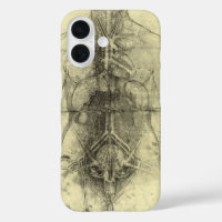 L'anatomie humaine de Léonard de Vinci, Torse fémi