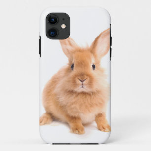 Case-Mate iPhone Case Lapin