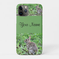 Lapin