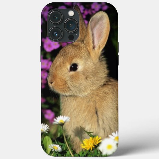 Coques Case-Mate iPhone Lapin (Verso)