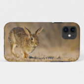 Coques Case-Mate iPhone lapin à queue blanche de l'est sautant (Dos (Horizontal))