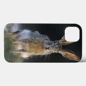Coques Case-Mate iPhone Lapin à queue noire, Lepus californicus, 2 (Verso (horizontal))