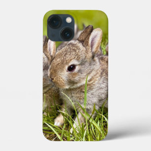 Case-Mate iPhone Case Lapin mignon lapin