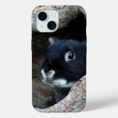 Coques Case-Mate iPhone Lapin noir en creux d'un arbre (Verso)