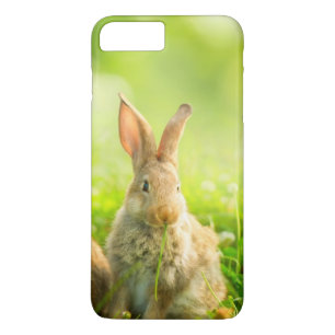 Coques Pour iPhone Lapins de Pâques