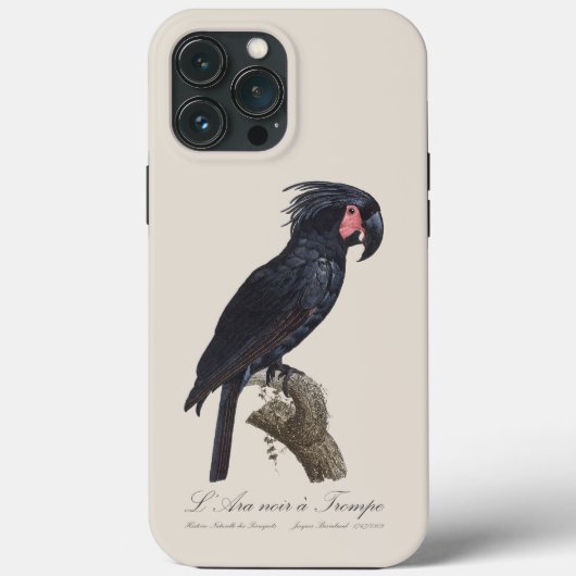 Coques Case-Mate iPhone L'Ara Noir a Trompe / Palm Cockatoo (Verso)
