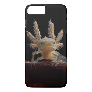 Coques Pour iPhone Larve crêté de triton