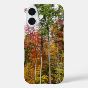 Coques iPhone 16 L'automne dans la forêt Photographie d'automne col