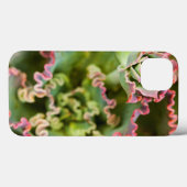 Coques Case-Mate iPhone Le bourgeon d'un Plante d'Echeveria (Verso (horizontal))