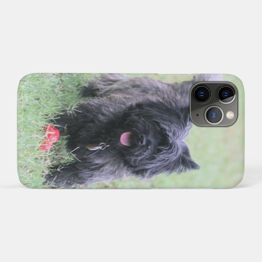 Coques Case-Mate iPhone Le Caire (Dos (Horizontal))