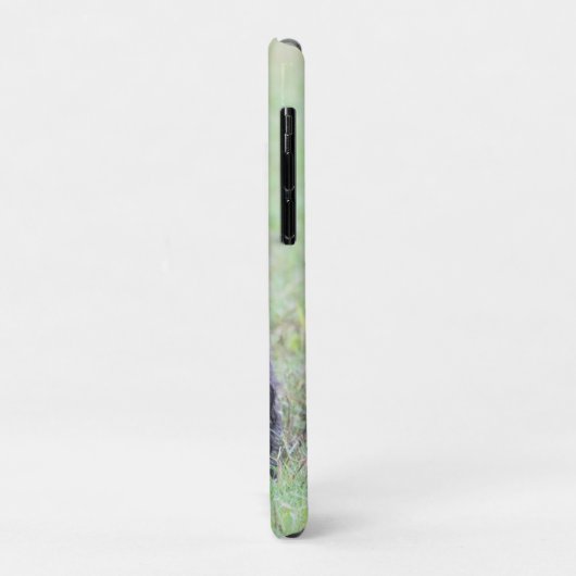 Coques Case-Mate iPhone Le Caire (Dos/Gauche)