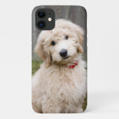 Coques Case-Mate iPhone Le Chiot De Goldendoodle S'Assis Dans L'Herbe (Dos)