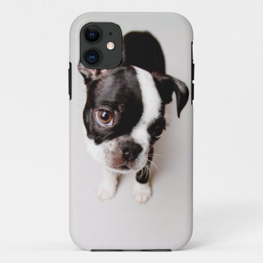 Coques Case-Mate iPhone Le chiot d'Edison Boston Terrier. (Dos)
