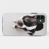 Coques Case-Mate iPhone Le chiot d'Edison Boston Terrier. (Dos (Horizontal))