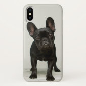 Coques Case-Mate iPhone Le chiot le plus mignon de bouledogue français (Dos)