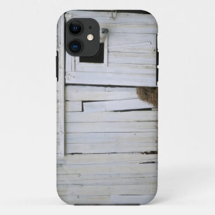 Coque iPhone 11 Le collage de cheval dirigent la fenêtre de grang