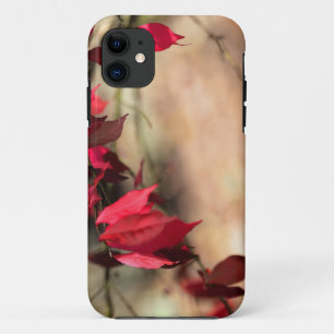 Coque iPhone 11 Le feuillage d'automne de Burning Bush - Euonymus