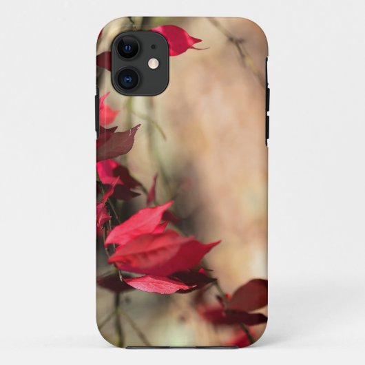 Coques Case-Mate iPhone Le feuillage d'automne de Burning Bush - Euonymus (Dos)