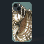 Etui iPhone Case-Mate Le joyau de l'océan<br><div class="desc">Un des plus beaux joyaux de l'océan est dans cette image. Trouvez cette grande coquille de Conch dans cette pièce encadrée d'art moderne. Cette grande image de coquille de Conch a un arrière - plan turquoise,  sépia et coquille blanche. Détendez-vous avec cette grande oeuvre d'art naturel.</div>