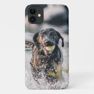 Case-Mate iPhone Case Le Labrador Noir Joue Dans L'Eau