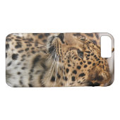 Coques Case-Mate iPhone Le léopard (Dos (Horizontal))