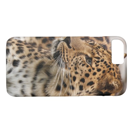Coques Case-Mate iPhone Le léopard (Dos (Horizontal))