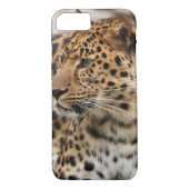 Coques Case-Mate iPhone Le léopard (Dos)