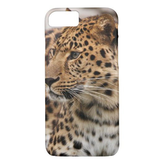 Coques Case-Mate iPhone Le léopard (Dos)