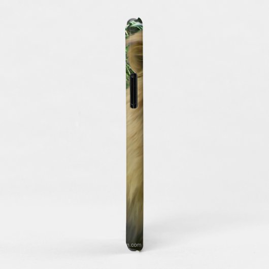 Coques Case-Mate iPhone Le lion (Dos/Droite)