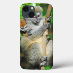 Case-Mate iPhone Case Le Madagascar, Andasibe, Ile Lemuriens aux., mère