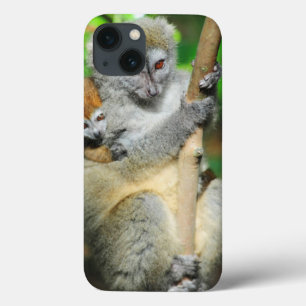Etui iPhone 13 Le Madagascar, Andasibe, Ile Lemuriens aux., mère