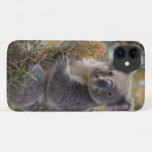 Coques Case-Mate iPhone "Le paradis de Koala : niché dans un arbre de Grev (Dos (Horizontal))