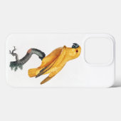 Coques Case-Mate iPhone Le perroquet du Sénégal (Verso (horizontal))