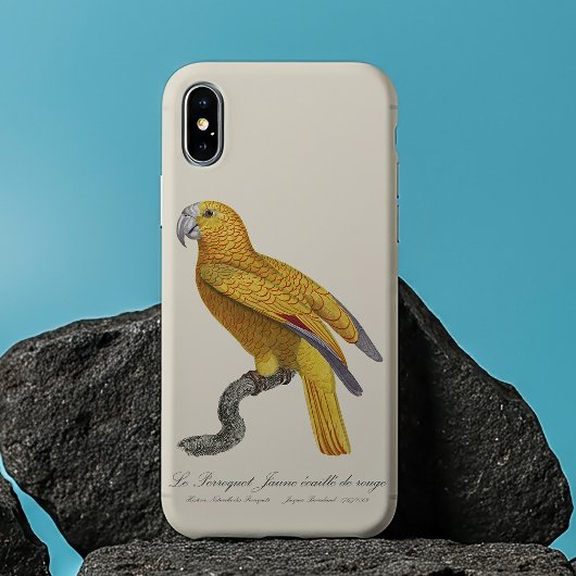 Coques Case-Mate iPhone Le Perroquet Jaune à écailles rouges