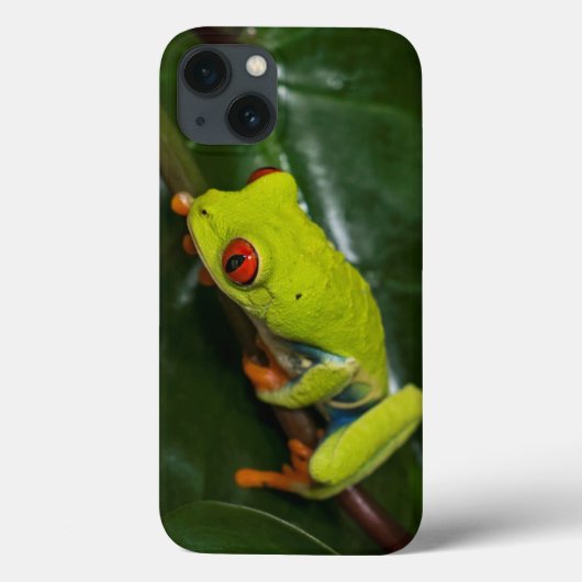 Coques Case-Mate iPhone Le rouge observe la grenouille sur la tige (Verso)