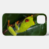 Coques Case-Mate iPhone Le rouge observe la grenouille sur la tige (Verso (horizontal))