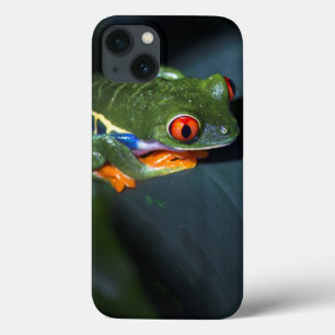 iPhone 13 Coque Le rouge observe la séance de grenouille