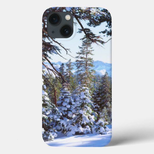 Coques Case-Mate iPhone Le sapin rouge couvert de neige dans la Haute Sier (Verso)