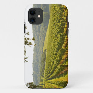 Coque iPhone 11 Le vignoble et une vallée avec une forêt.