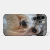 Coques Case-Mate iPhone Le visage de Schnauzer Dog (Dos (Horizontal))