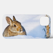 Coques Case-Mate iPhone Le Wyoming, le comté de Sublette, le lapin 1 de (Verso (horizontal))