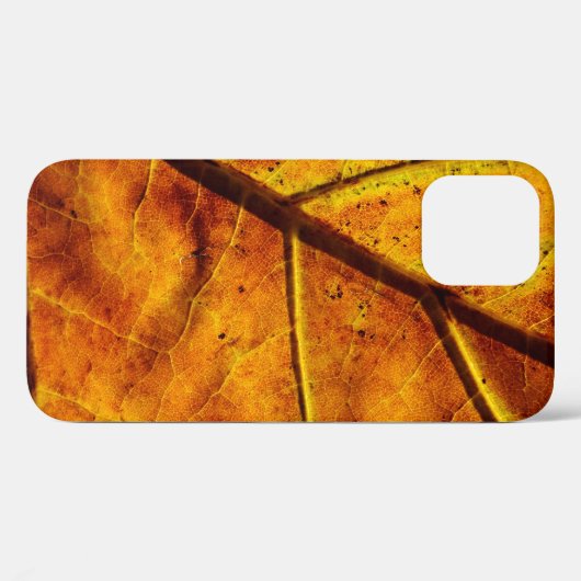 Coques Case-Mate iPhone Leaf leaf veins fall texture (Verso (horizontal))