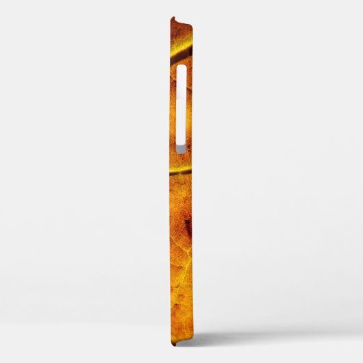 Coques Case-Mate iPhone Leaf leaf veins fall texture (Verso / Gauche)